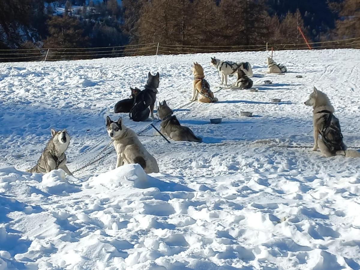 Les Ecureuils Du Meale Leilighet Les Orres Eksteriør bilde